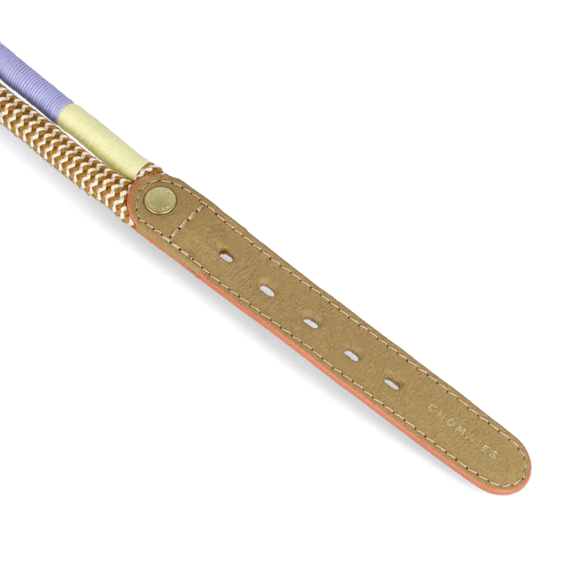 Adjustable Dog Collar | Summer with Vegan Mycelium Leather