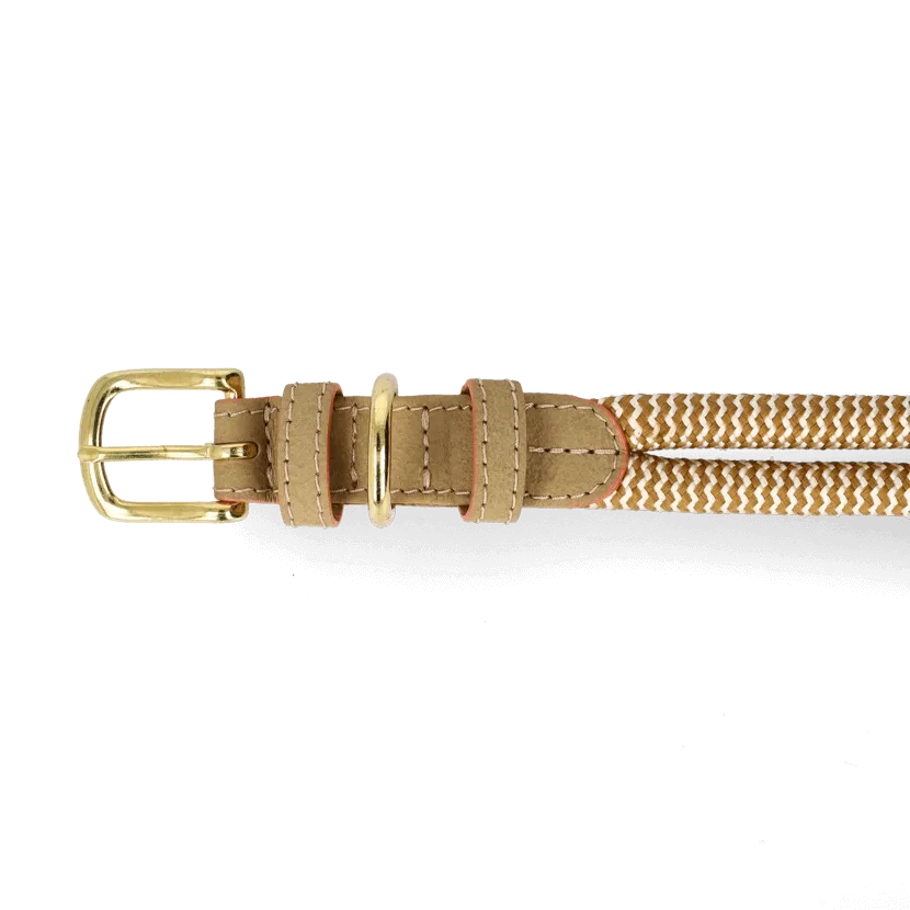 Adjustable Dog Collar | Summer with Vegan Mycelium Leather