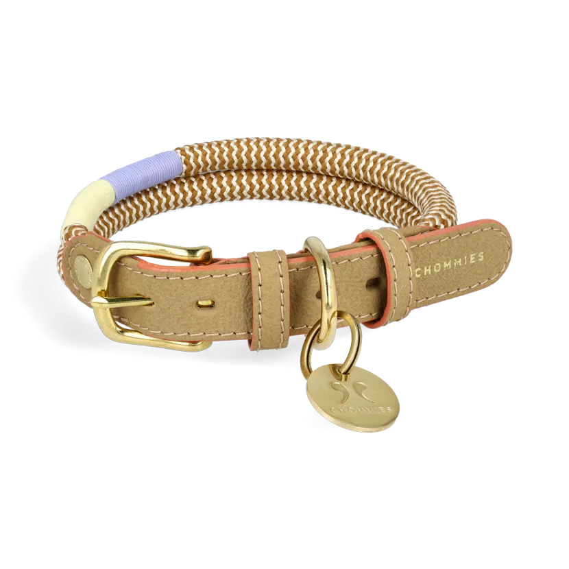 Adjustable Dog Collar | Summer with Vegan Mycelium Leather
