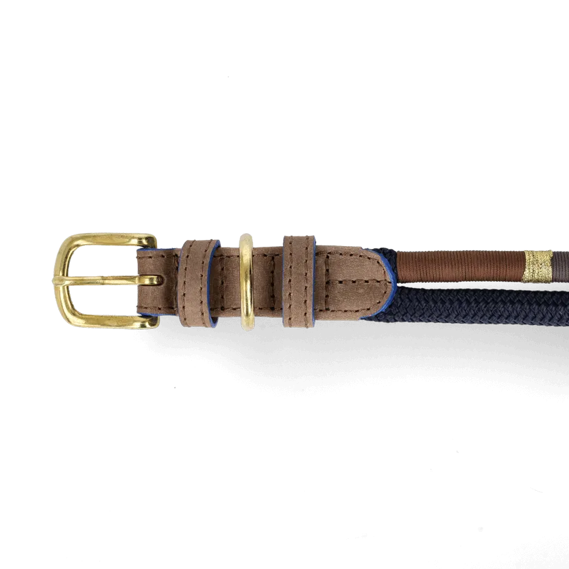 Adjustable Dog Collar | Winter