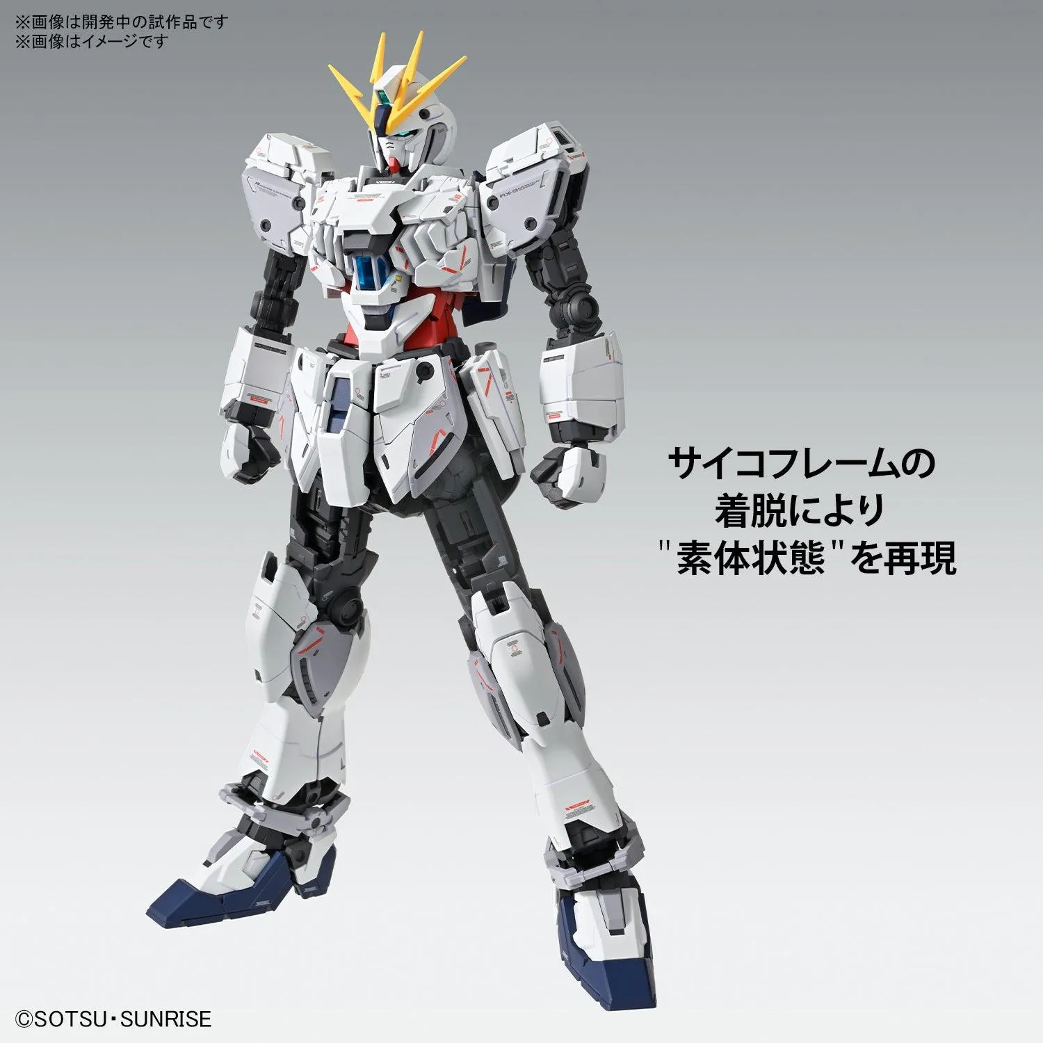 Bandai Narrative Gundam C-Packs Ver. Ka MG 1/100 Model Kit