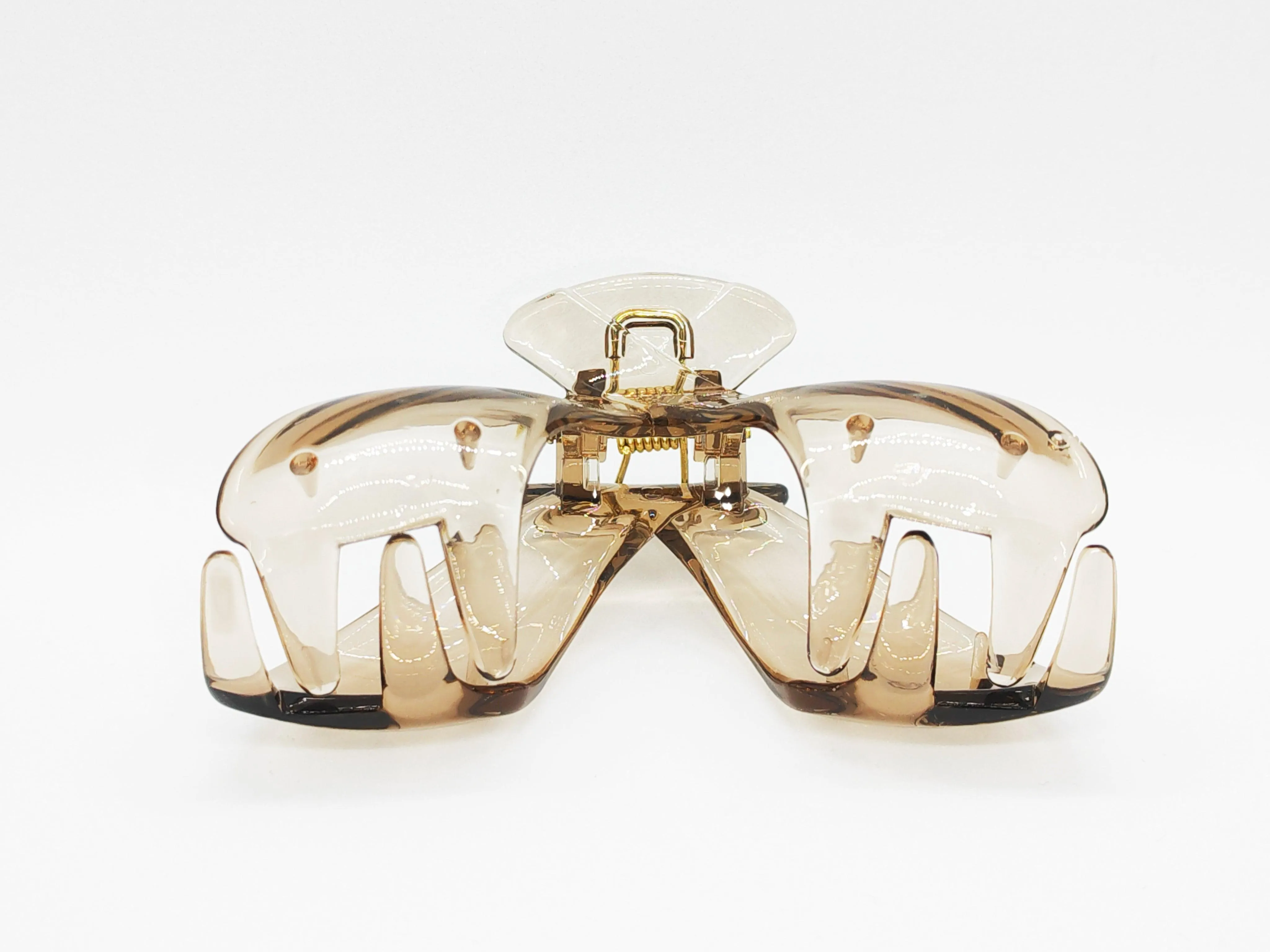 Elegant Transparent Winged Hair Claw Clip
