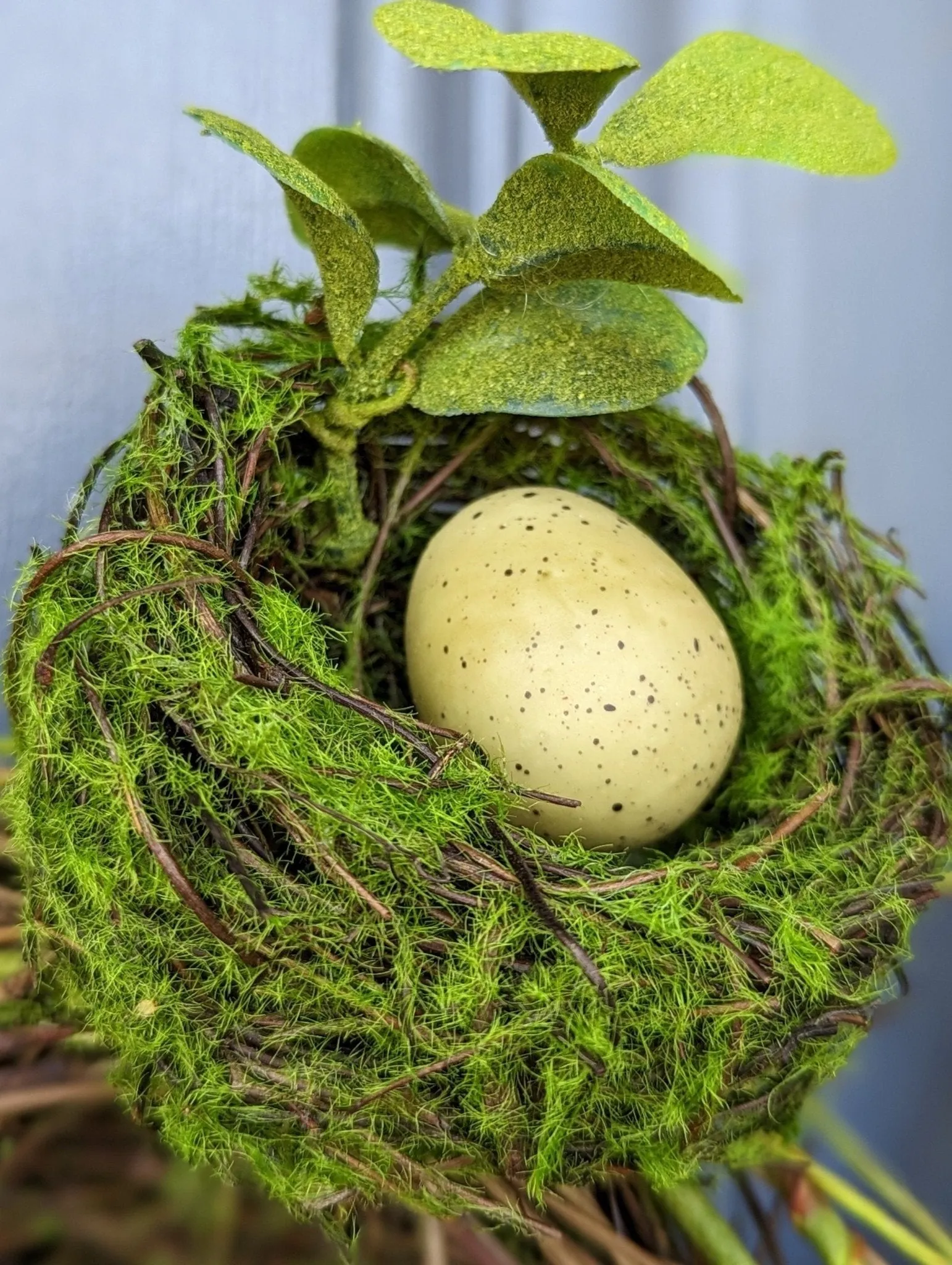 Ivory Hydrangea Bird's Nest Wreath for Front Door