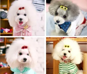 One Pack Colorful Sunglass Hair Clips For Your Cute Pups